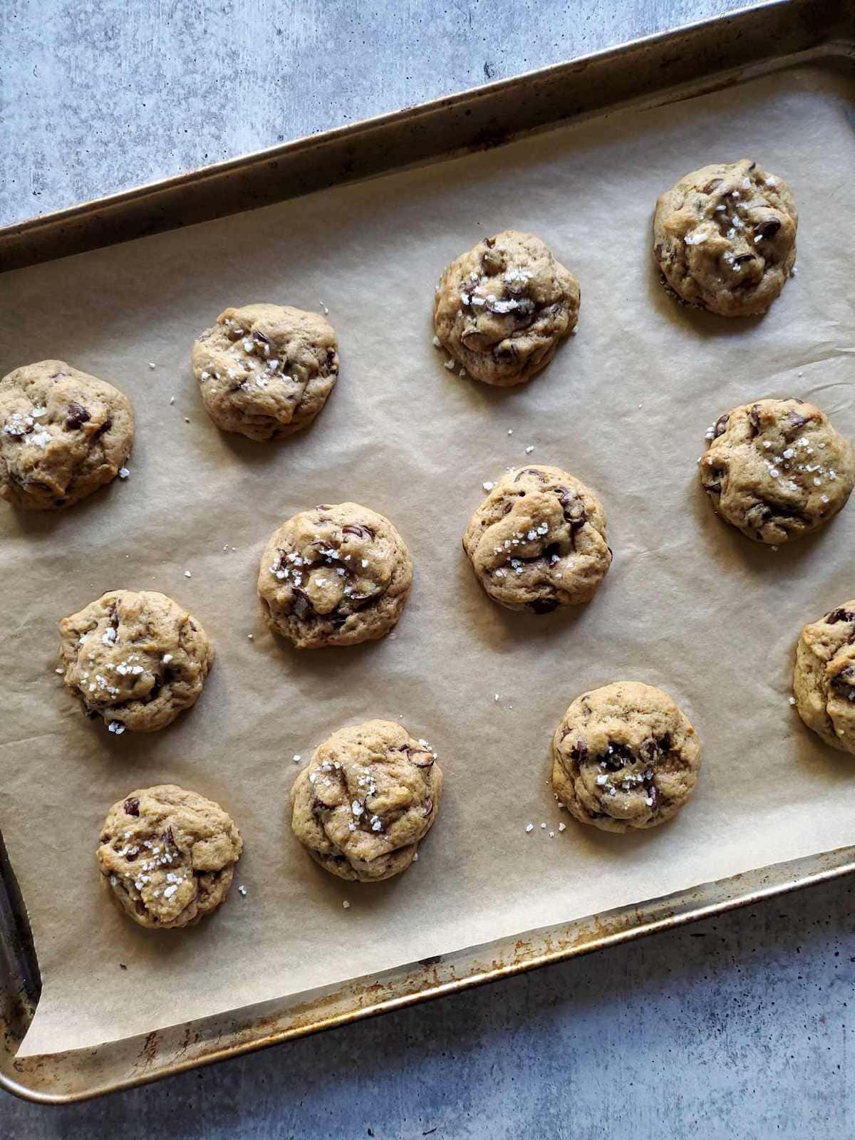 A baking sheet lined with parchment paper has three rows of sourdough chocolate chip cookies that have just finished baking. The cookies are darker brown in color with even darker specks of chocolate chips, they are accented with a light sprinkle of white flakey sea salt on top. 