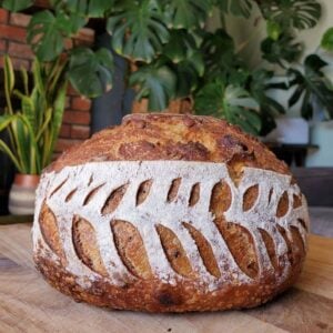 A loaf of sourdough bread is resting on a wood cutting board. Beyond are many green houseplants in the background.