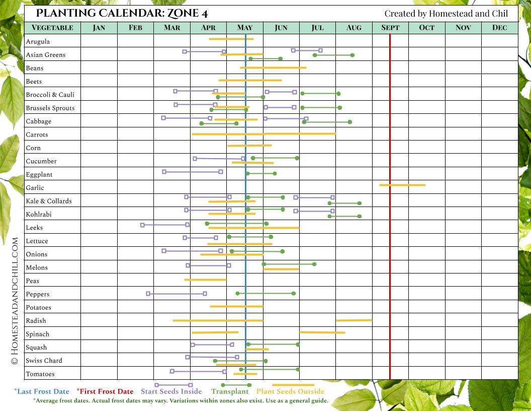 When to Start Seeds: Garden Planting Calendars for Every Zone – Gardzen When to Start Seeds: Garden Planting Calendars for Every Zone – Gardzen