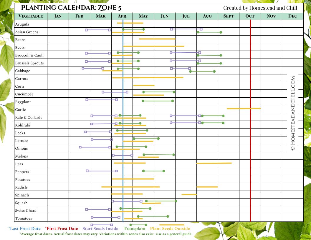 Garden Planting Calendars For Every Zone Homestead And Chill 