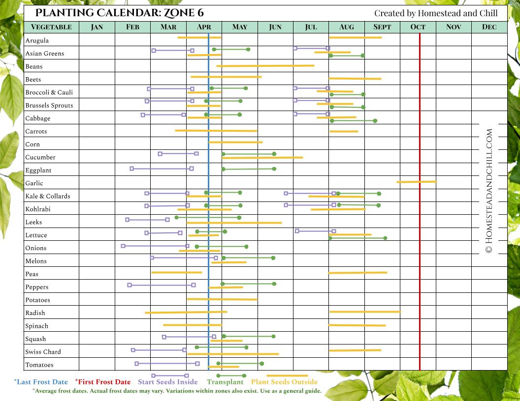 Zone 6 Calendar Jill Romona