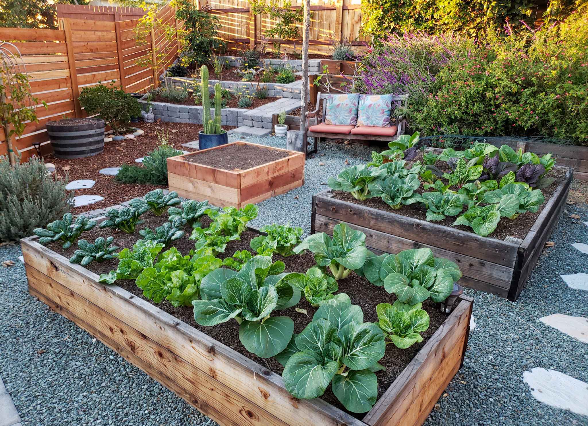Raised Backyard Vegetable Garden Raised Backyard Vegetable Garden