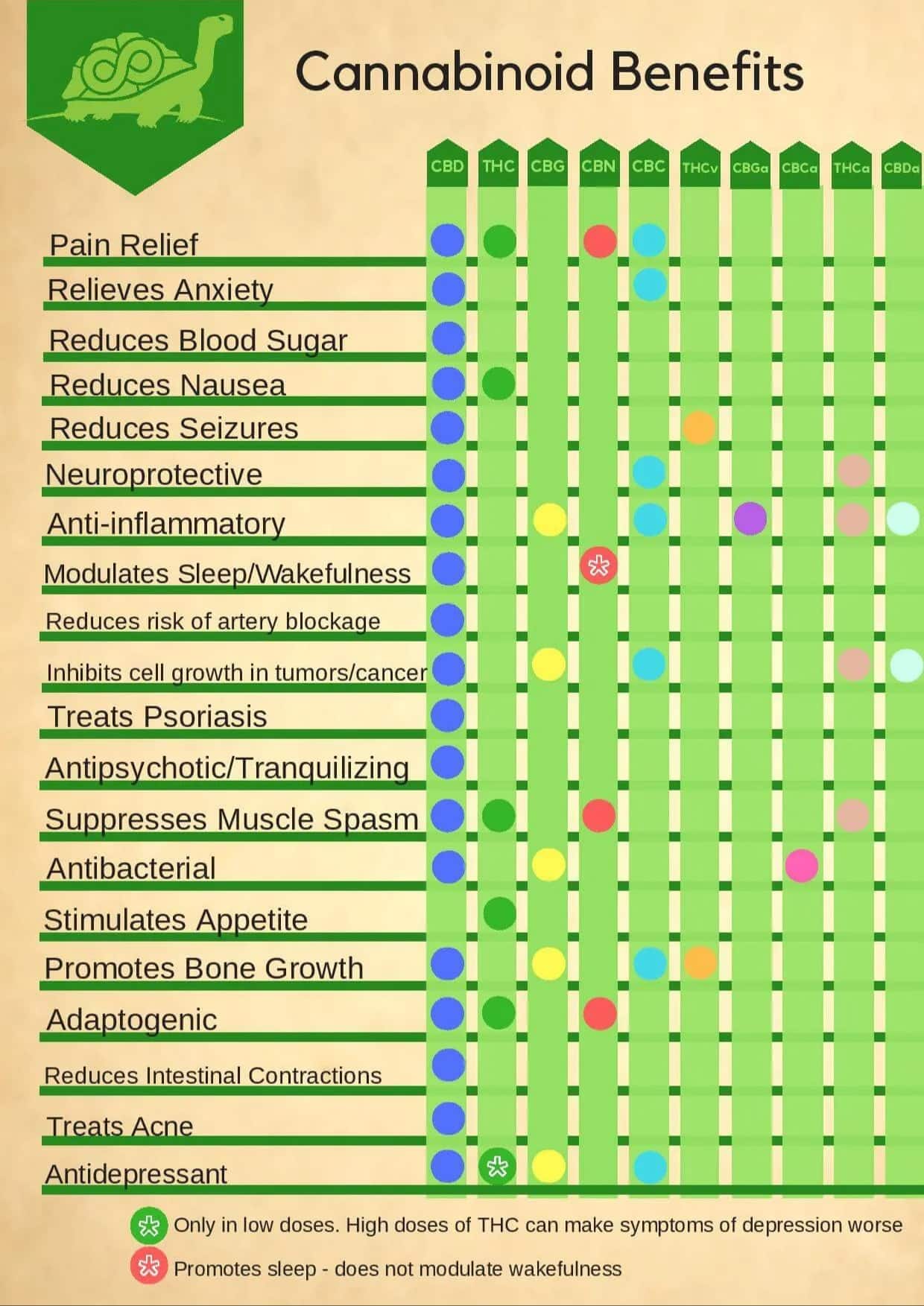 A chart diagram that shows the different benefits that different cannabinoids have with many physical and mental health problems people can have. Between CBD, THC, CBG, CBN, and other less known cannabinoids, CBD is the only only one that helps with every condition on the chart such as anti inflammatory, relieves pain/anxiety, antibacterial, inhibits cell growth in tumors/cancer etc. The only condition it doesn't help is stimulating appetite.