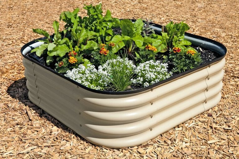 Choosing the Best Materials for Raised Garden Beds Homestead and Chill