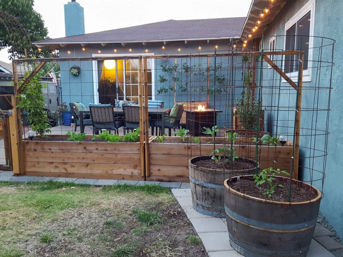 The Best Materials for Raised Garden Beds: Pros and Cons ~ Homestead ...