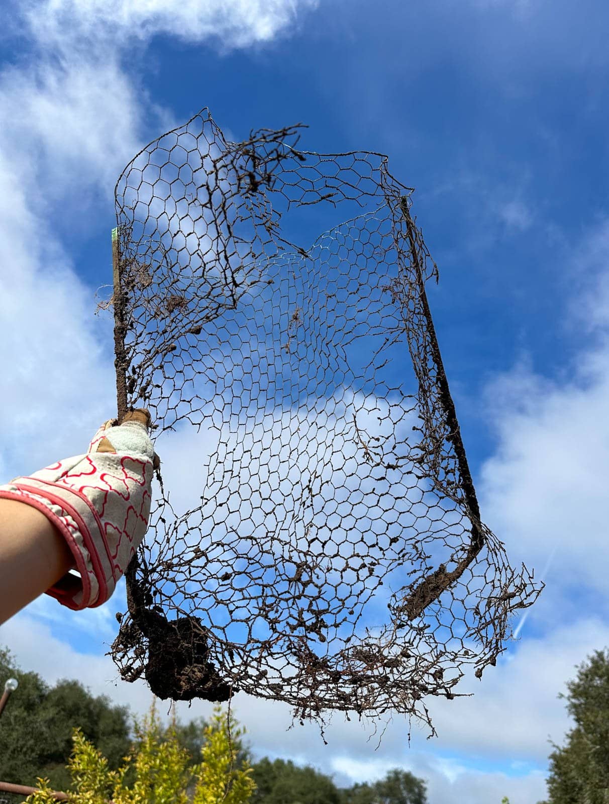 A chicken wire basket is held high after it was removed from the earth. It has holes all throughout the cage.