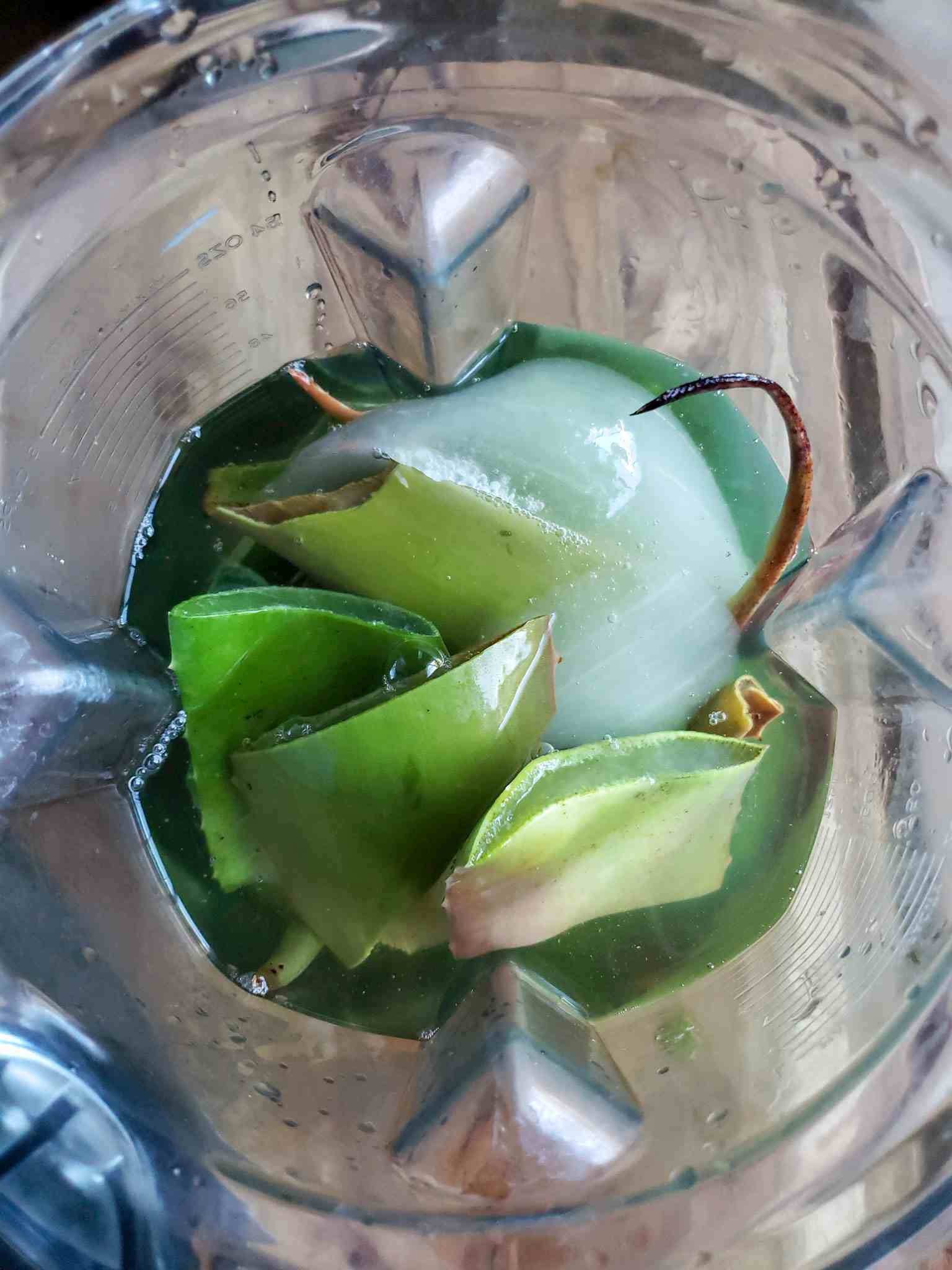 Homemade Fertilizer with Aloe Vera Soil Drench or Foliar Spray