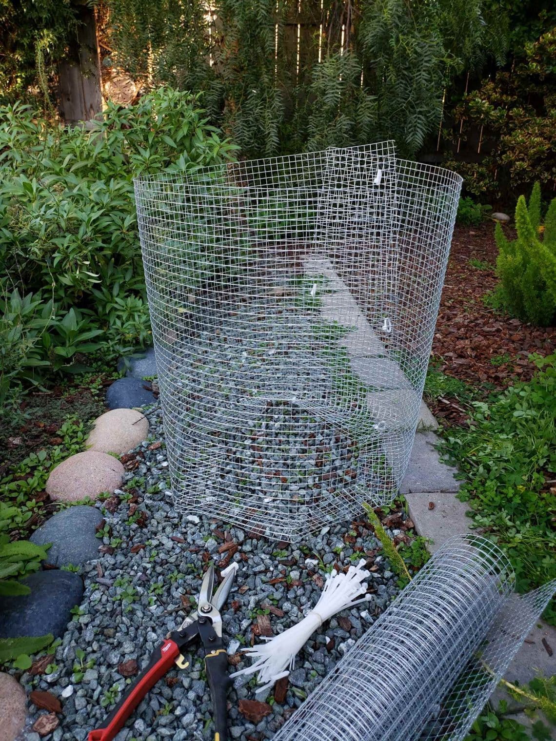 How to Make a Homemade Gopher Basket for Trees Homestead and Chill