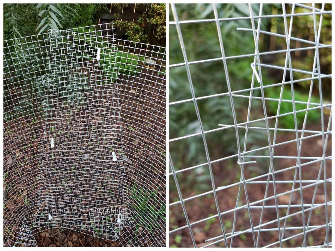 How to Make a Homemade Gopher Basket for Trees Homestead and Chill