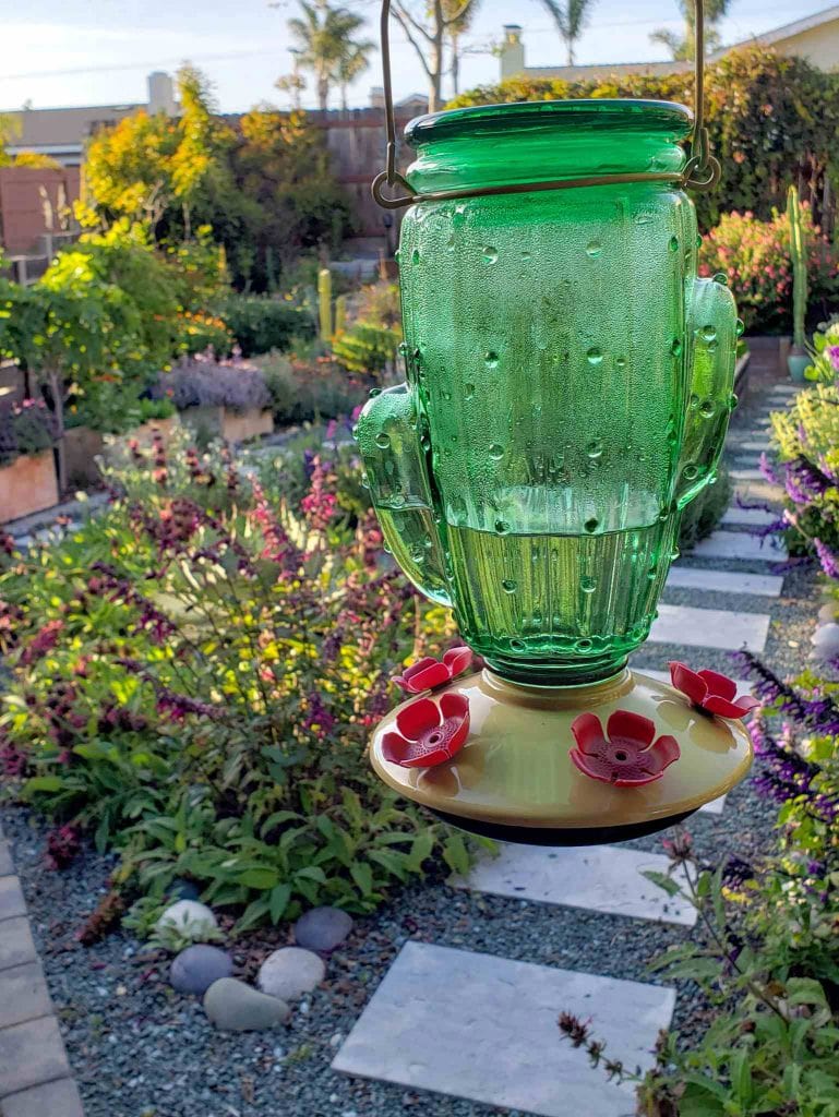 How to Make Hummingbird Food (Nectar) Recipe Homestead and Chill