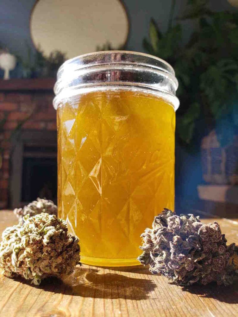 A half pint mason jar is full of freshly made cannabis infused coconut oil. It is cooling so the oil is still in a liquid state, it is glowing yellow in the sunlight and there are two cannabis flowers flanking the front of the jar, their trichomes sparkling in the sun.