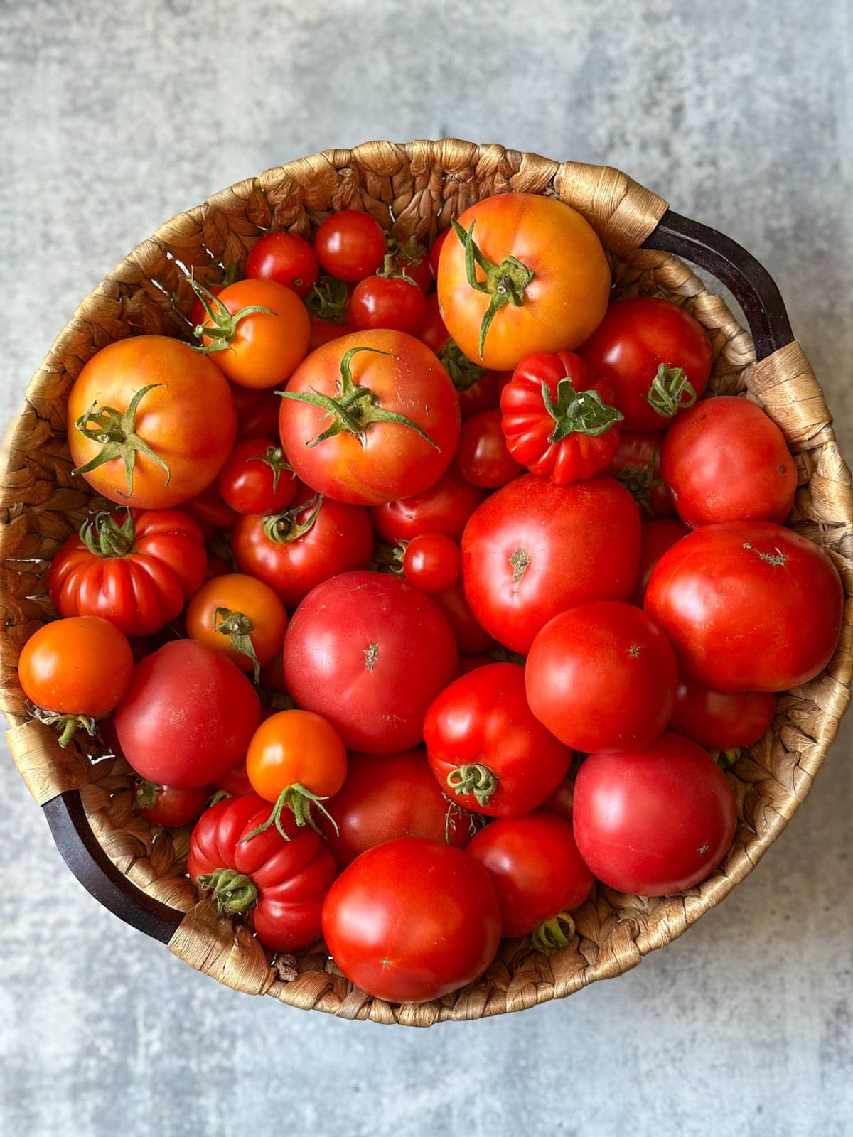 a close up looking down on a round wicker basket full of red homegrown tomatoes of various shapes and sizes
