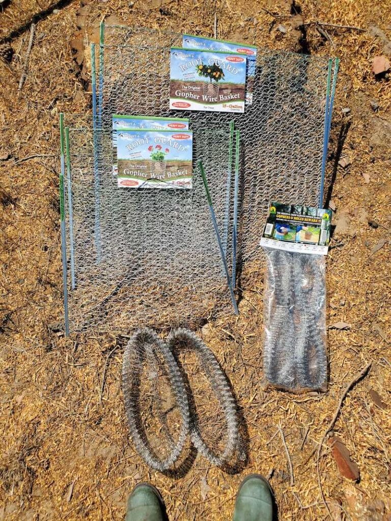 NonToxic Gopher Control How to GopherProof Your Garden Homestead