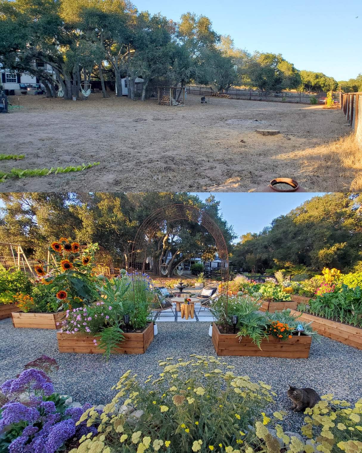 A before and after of a garden space. The first image shows a dry, open, weedy field full of gopher mounds and dirt. The second image shows a neatly landscaped scape full of wooden raised garden beds with pathways, and large healthy plants and flowers growing in the raised beds and also in the ground around the perimeter.