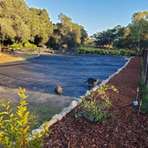 An outdoor space lined with rocks has been covered in landscape fabric. A border of plants and small trees are along a fence line.