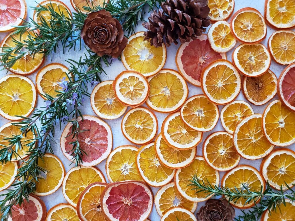 How to Dry Orange Slices for Holiday Decor, Two Ways Homestead and Chill