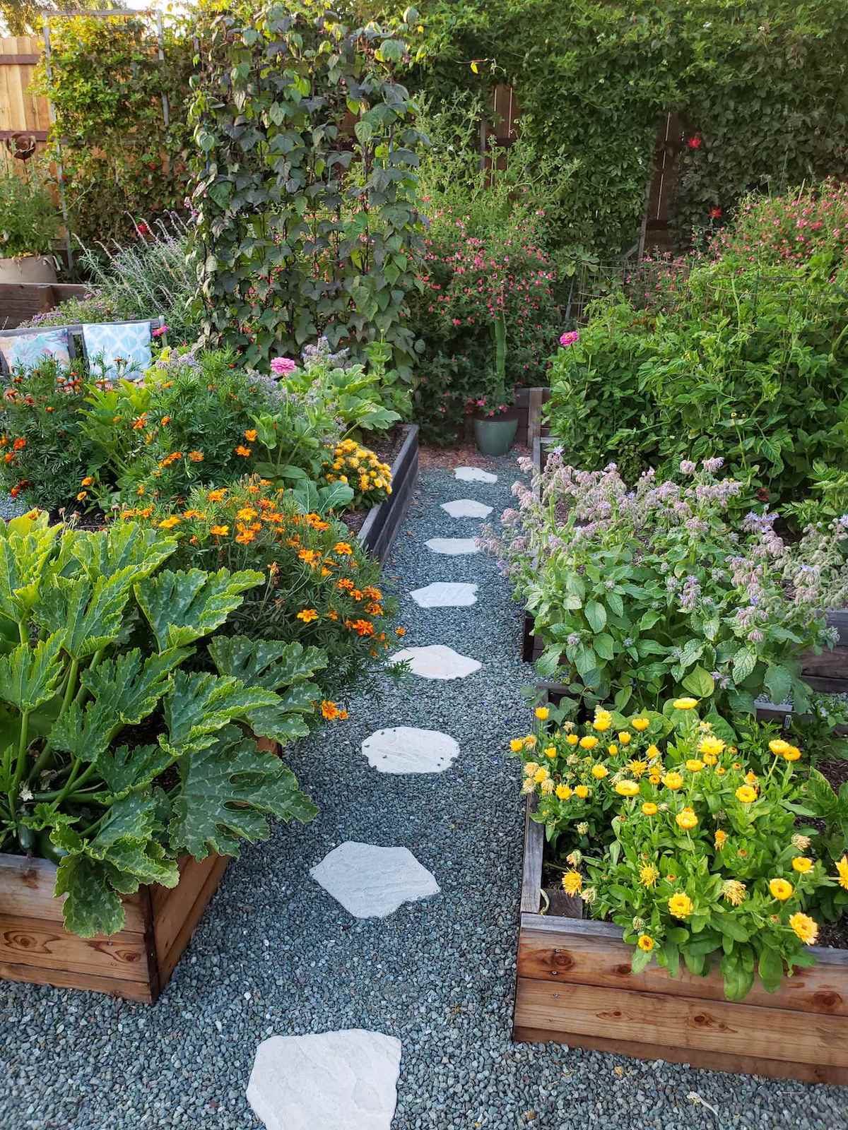 A raised garden bed garden with various annual flowers of yellow, purple, orange, and red growing amongst squash, tomatoes, beans, and herbs. The background is a fence lined with many green vines.