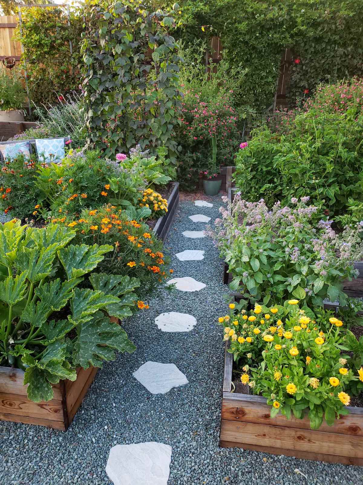 A raised garden bed garden with various annual flowers of yellow, purple, orange, and red growing amongst squash, tomatoes, beans, and herbs. The background is a fence lined with many green vines. 