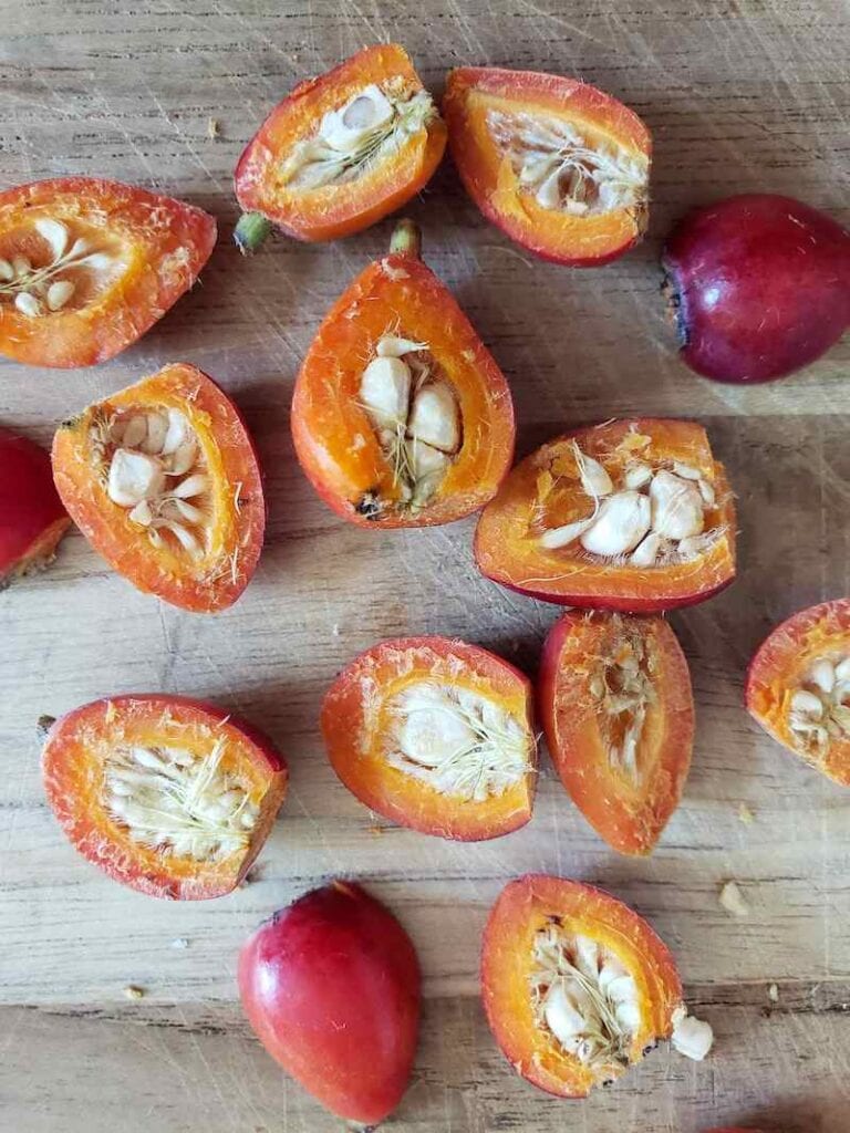 Radiant Rose Hips How to Harvest, Dry and Use Rosehips Homestead and