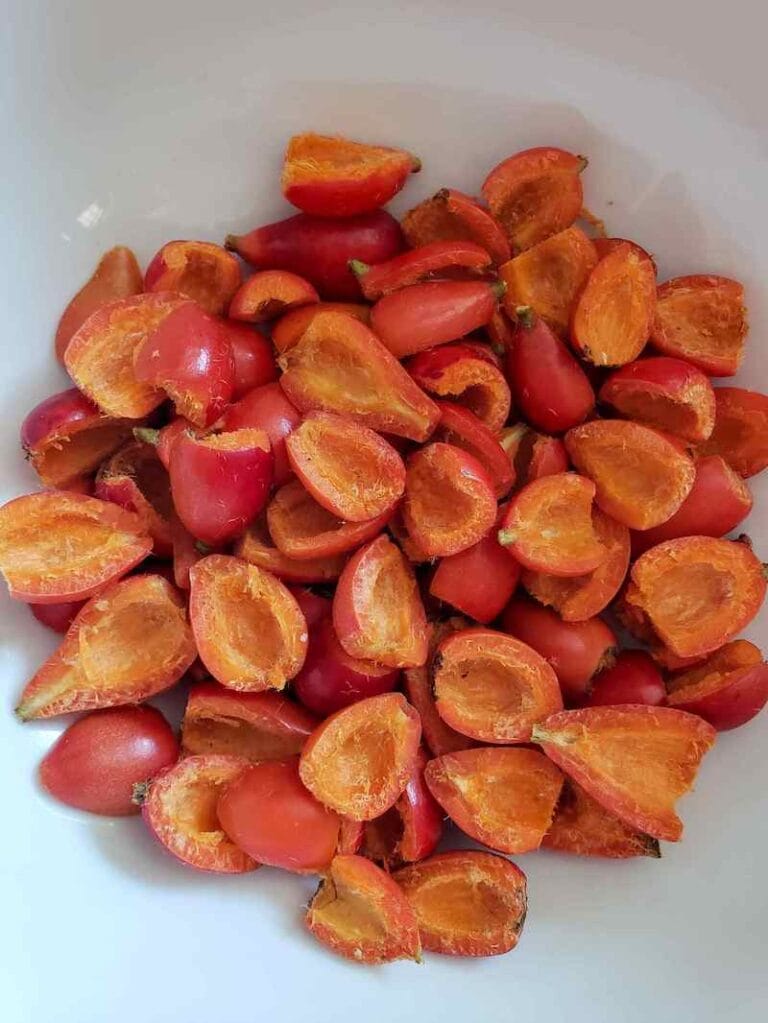 Radiant Rose Hips How to Harvest, Dry and Use Rosehips Homestead and