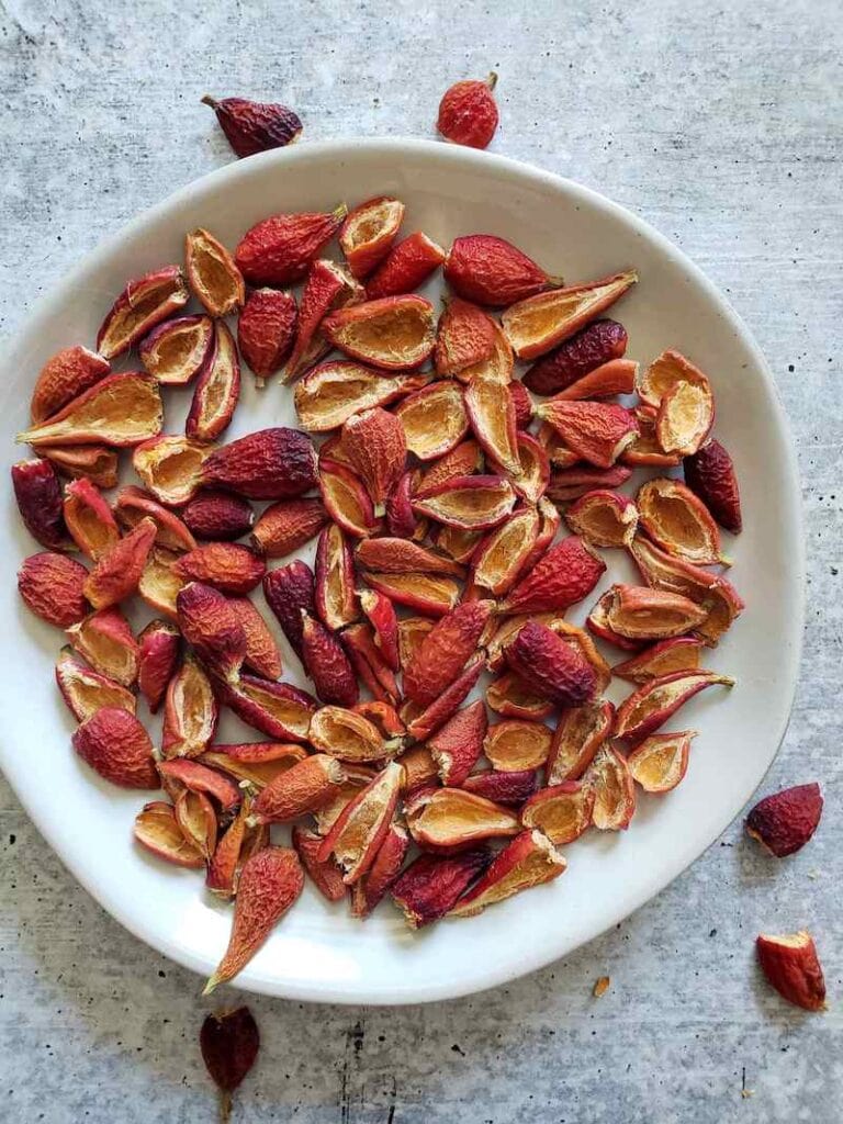 Radiant Rose Hips How to Harvest, Dry and Use Rosehips Homestead and Chill