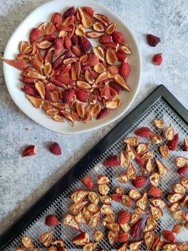 Radiant Rose Hips How to Harvest, Dry and Use Rosehips Homestead and