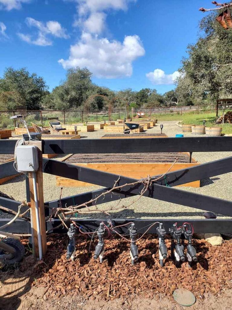 How to Install Drip Irrigation in Raised Garden Beds (Drip Tape) Homestead and Chill