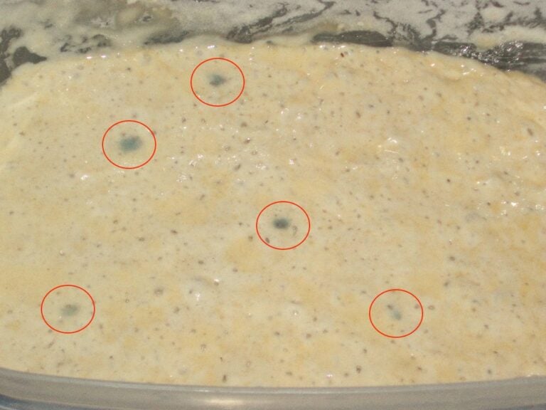 Is My Sourdough Starter Bad? How to Revive Old Inactive Starter