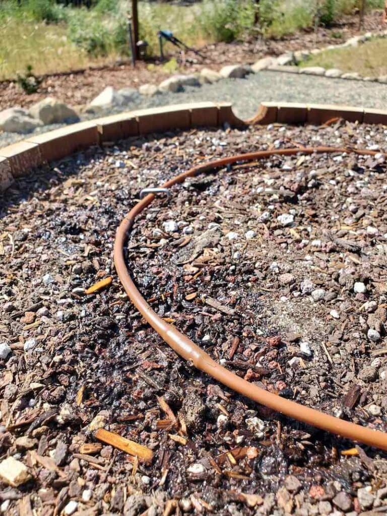 How to Set Up Drip Irrigation for Pots, Wine Barrels, Containers