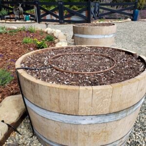 A half wine barrel is full of garden soil, there is a ring around the center of the barrel made out of drip line tubing for irrigating containers.
