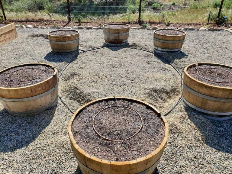 How to Set Up Drip Irrigation for Pots, Wine Barrels, Containers