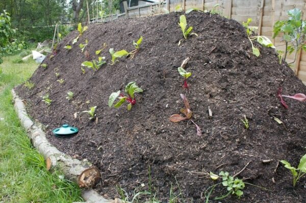 Hugelkultur: A Natural, Cheap Way to Make or Fill Garden Beds ...