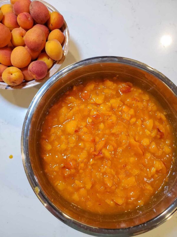 Simple Low Sugar Apricot Jam with Lemon Juice (No Pectin) Homestead