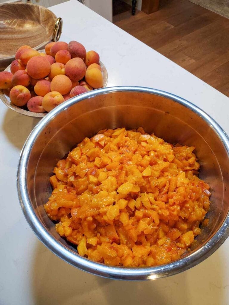 Simple Low Sugar Apricot Jam with Lemon Juice (No Pectin) Homestead