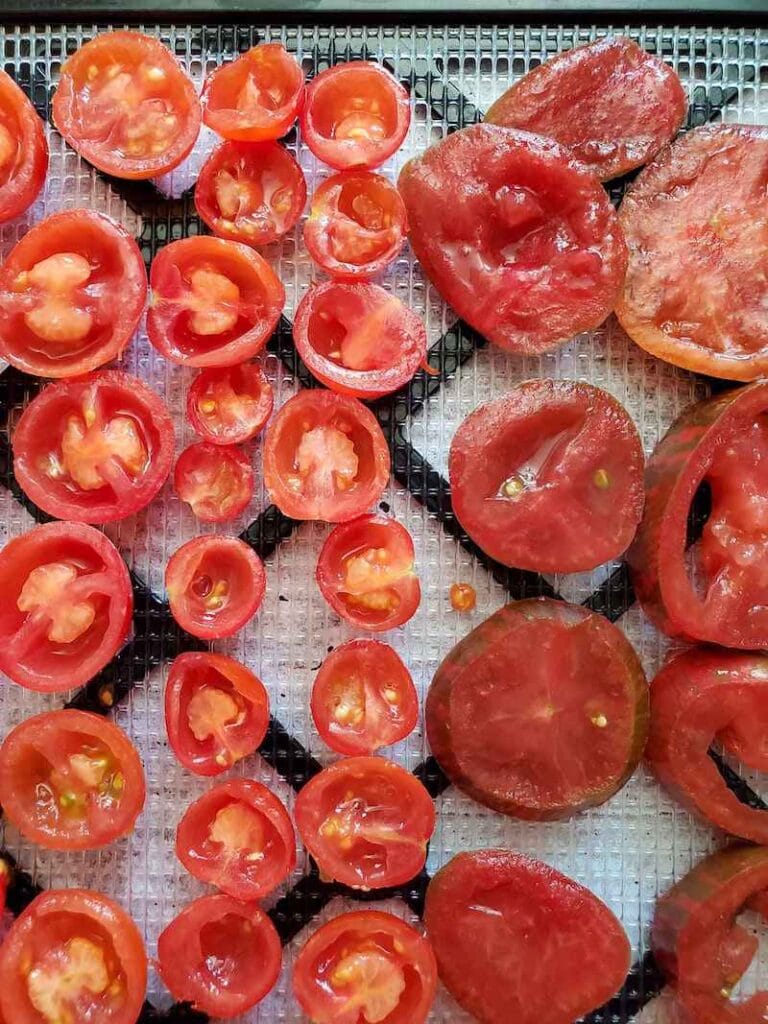 How to Make Tomato Powder (Fresh Tomatoes or Skins) Homestead and Chill