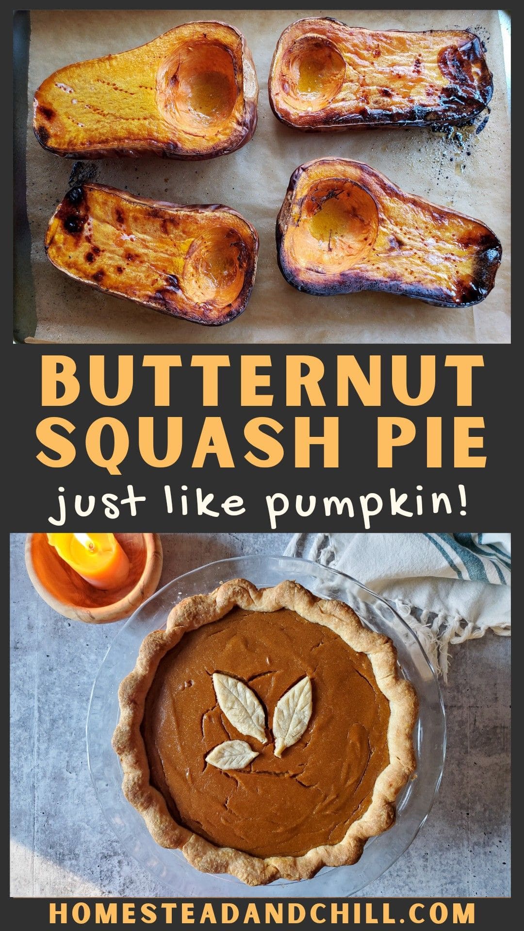 Delicious Butternut Squash Pie Recipe (Vegan Options) Homestead and Chill