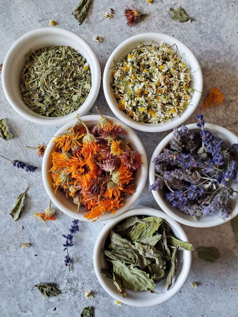 How to Make Medicinal Herb Infused Oil Two Ways Homestead and Chill