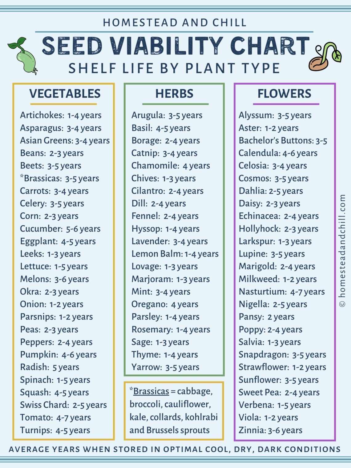How To Test Seed Germination Easy Paper Towel Method Homestead And Chill