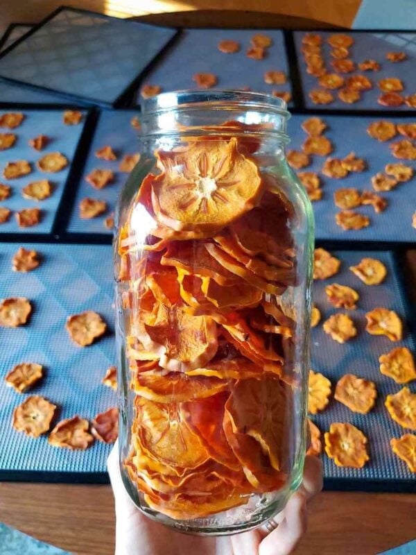 How to Make Easy Dried Persimmons (Oven or Dehydrator) Homestead and