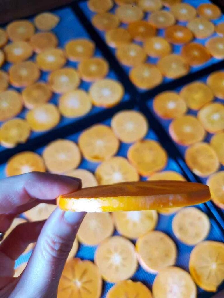 How to Make Easy Dried Persimmons (Oven or Dehydrator) Homestead and