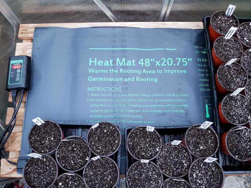 7 Useful Seed Starting Supplies for Success Indoors Homestead and Chill