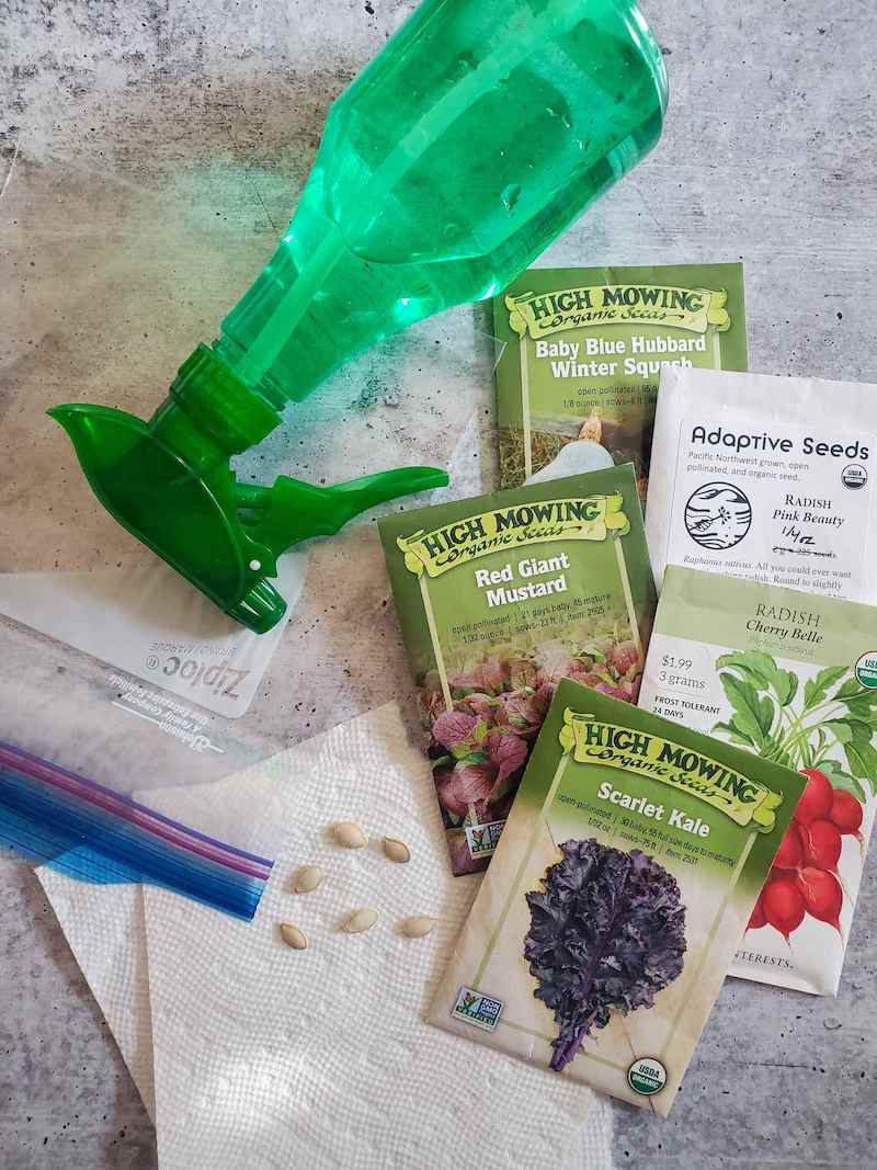 A flat lay image of a spray bottle with various packs of seeds from High Mowing, Adaptive Seeds, and Botanical Interest, a Ziploc bag, sheets of paper towels and a few squash seeds laying around. 