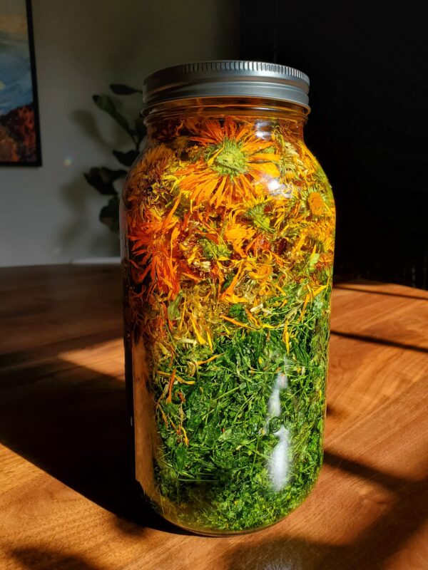 Skin Calm Balm (Calendula & Chickweed) - Image 2