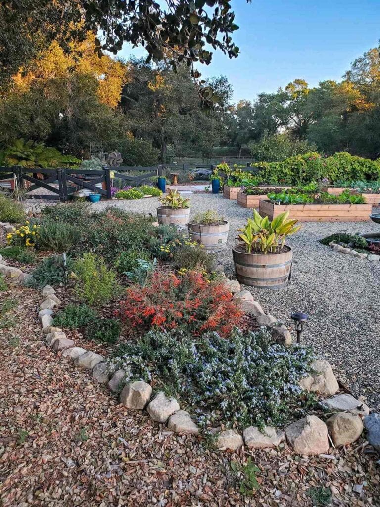 50+ Great Gopher Resistant Plants for California & Beyond Homestead