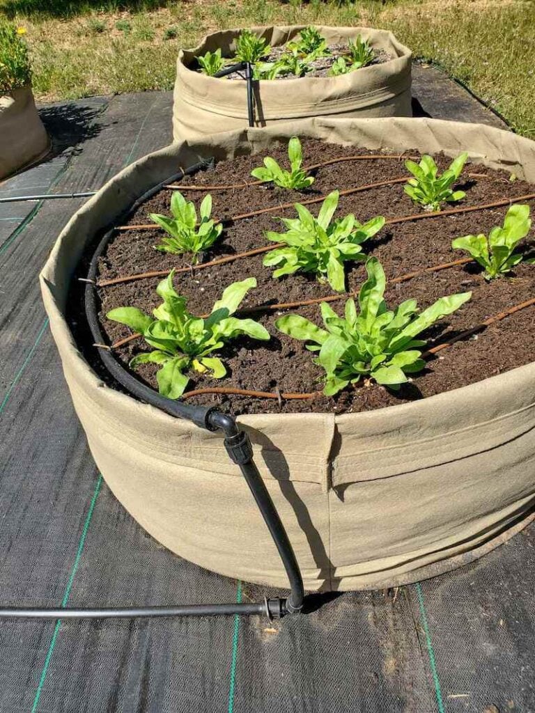 Easy Raised Bed Drip Irrigation (from Faucet or Spigot) Homestead and