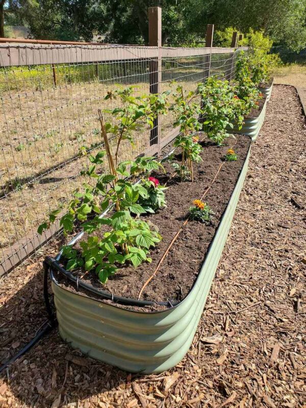 Easy Raised Bed Drip Irrigation (from Faucet or Spigot) Homestead and