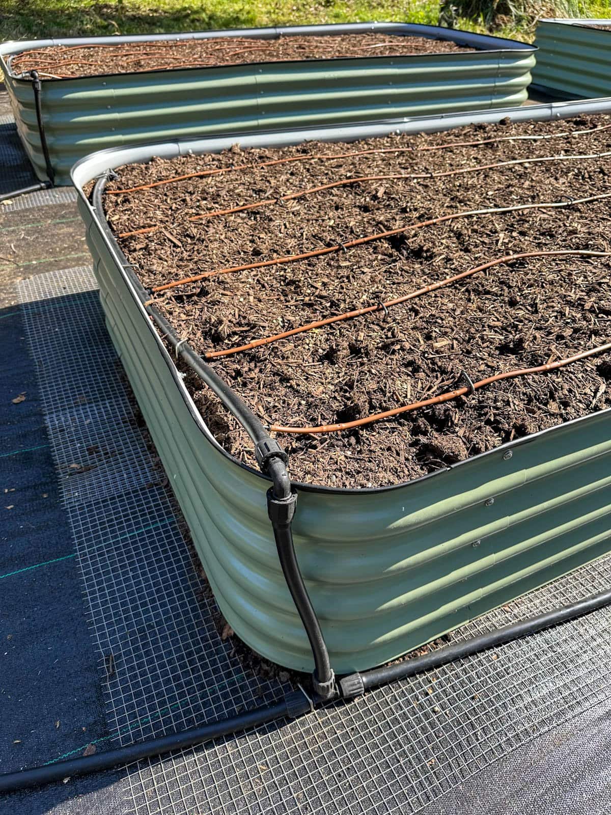 The irrigation supply line and header of a raised garden bed are at the far end of a raised bed with smaller 1/4" drip line with emitters running in rows off of it along the length of the bed. 