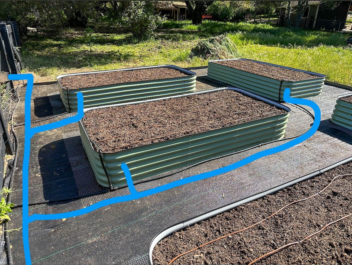 Metal raised beds sit on top of black landscape fabric, each has a main irrigation header with brown drip line along with 1/2 inch tubing running along each of the raised beds to supply the water. A blue line has been superimposed over the section of 1/2 inch drip tubing showing where the main lines are laid. 