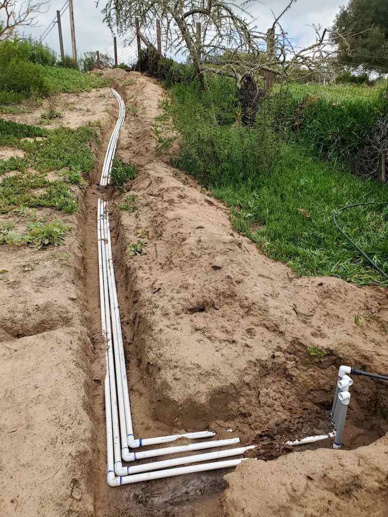 A trenched hillside has four PVC lines coming down to PVC rises with elbows which will be the starting point for each drip zone. Solar powered irrigation will be running this system. 