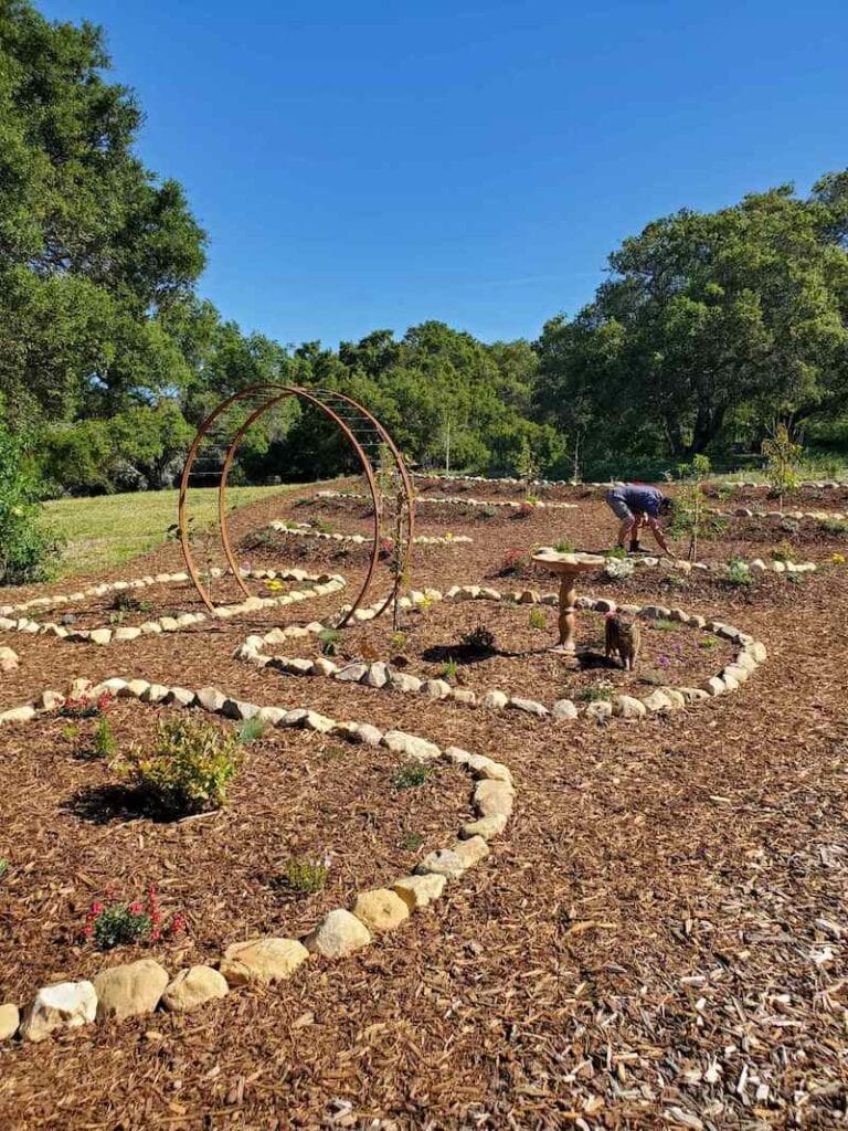 Conserving Water for a Thriving Garden: Expert Tips and Strategies